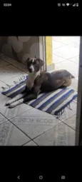 Peralta 