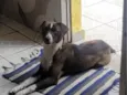 Peralta 