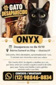 Onyx