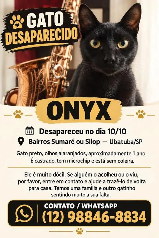 Gato raça SRD-ViraLata idade 1 ano nome Onyx