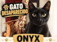 Onyx