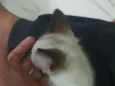 Princesa sem nome 