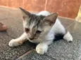 Bebê