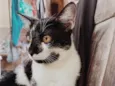 Nina 