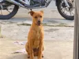Marley