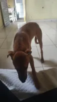 Mel