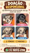 Sem nomes 