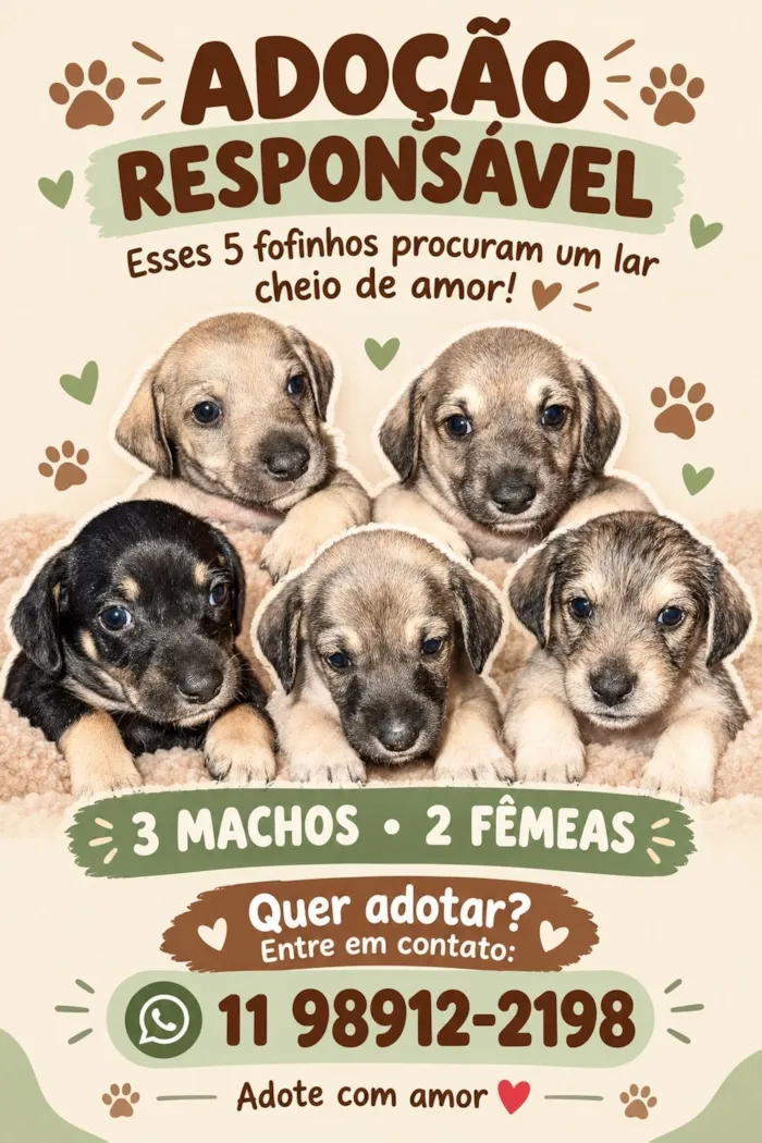Cachorro raça SRD-ViraLata idade Abaixo de 2 meses nome Sem nomes 