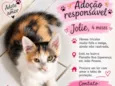 Jolie