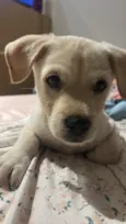 Billy