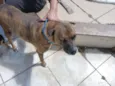 Tupã e Bidu
