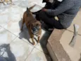 Tupã e Bidu