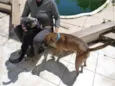 Tupã e Bidu