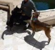 Tupã e Bidu