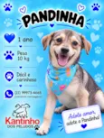 Pandinha 