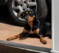 Lili