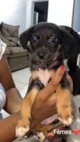 não tem nome 