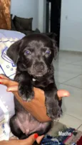 não tem nome 