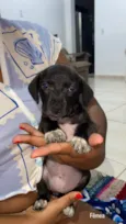 não tem nome 
