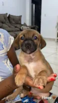 não tem nome 