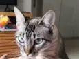 Matilda