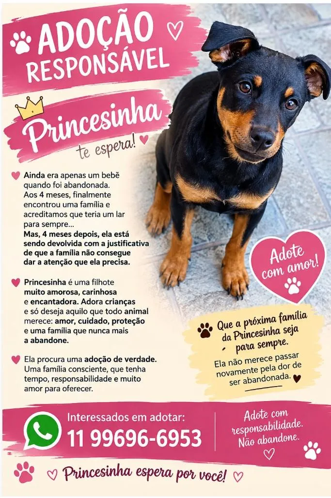 Cachorro raça SRD-ViraLata idade 7 a 11 meses nome Princesinha