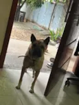 Lua