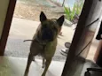 Lua