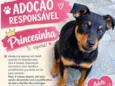 Princesinha