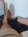 Francisco