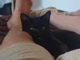 Francisco