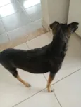 Nina