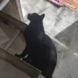 Léo