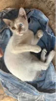 NALLA