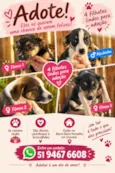 Cãezinhos abandonados