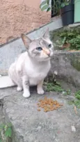 Bella e Afonso