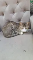 Bella e Afonso