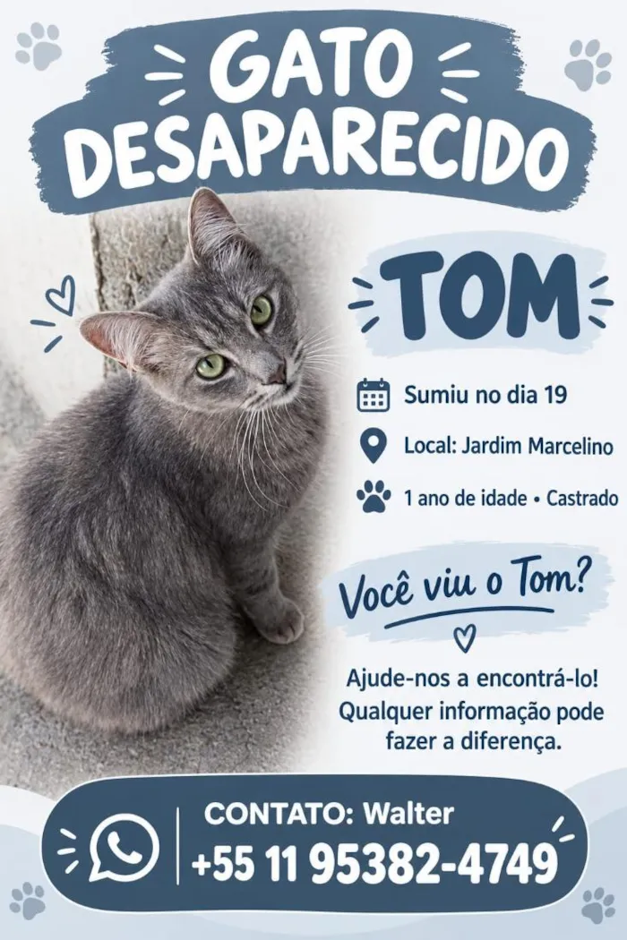 Gato raça SRD-ViraLata idade 1 ano nome Tom