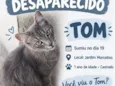 Tom