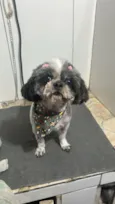 LuLu