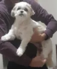 Lili