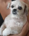 Lili