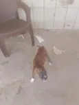 DOAÇÃO