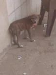 DOAÇÃO