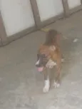 DOAÇÃO