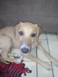 Frederico e Fofinho