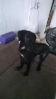 Frederico e Fofinho
