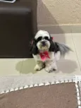MYA