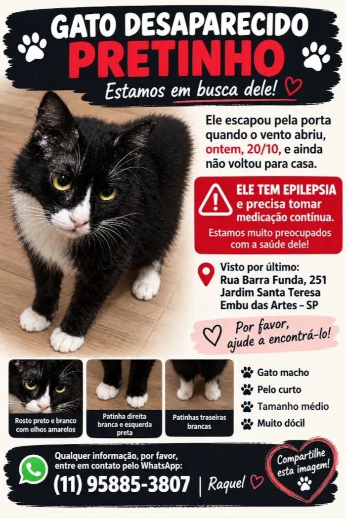 Gato raça SRD-ViraLata idade 6 ou mais anos nome Pretinho