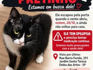 Gato raça SRD-ViraLata idade 6 ou mais anos nome Pretinho
